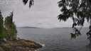 ./images/koeye/fitz-hugh/20250612/fitz-hugh20250612_095510M.jpg