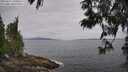 ./images/koeye/fitz-hugh/20250612/fitz-hugh20250612_100012M.jpg