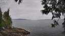 ./images/koeye/fitz-hugh/20250612/fitz-hugh20250612_100509M.jpg