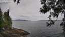 ./images/koeye/fitz-hugh/20250612/fitz-hugh20250612_102510M.jpg