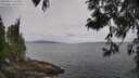./images/koeye/fitz-hugh/20250612/fitz-hugh20250612_103010M.jpg