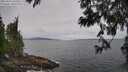 ./images/koeye/fitz-hugh/20250612/fitz-hugh20250612_103510M.jpg