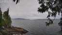 ./images/koeye/fitz-hugh/20250612/fitz-hugh20250612_104010M.jpg