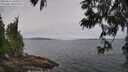 ./images/koeye/fitz-hugh/20250612/fitz-hugh20250612_105508M.jpg