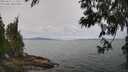 ./images/koeye/fitz-hugh/20250612/fitz-hugh20250612_111511M.jpg