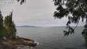 ./images/koeye/fitz-hugh/20250612/fitz-hugh20250612_112011M.jpg