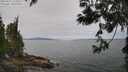 ./images/koeye/fitz-hugh/20250612/fitz-hugh20250612_112510M.jpg