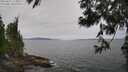 ./images/koeye/fitz-hugh/20250612/fitz-hugh20250612_114011M.jpg