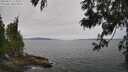 ./images/koeye/fitz-hugh/20250612/fitz-hugh20250612_114511M.jpg