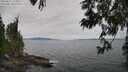 ./images/koeye/fitz-hugh/20250612/fitz-hugh20250612_115011M.jpg