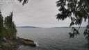 ./images/koeye/fitz-hugh/20250612/fitz-hugh20250612_115509M.jpg