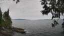 ./images/koeye/fitz-hugh/20250612/fitz-hugh20250612_120012M.jpg