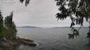 ./images/koeye/fitz-hugh/20250612/fitz-hugh20250612_120509M.jpg