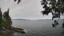 ./images/koeye/fitz-hugh/20250612/fitz-hugh20250612_121011M.jpg