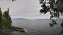 ./images/koeye/fitz-hugh/20250612/fitz-hugh20250612_122509M.jpg