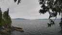 ./images/koeye/fitz-hugh/20250612/fitz-hugh20250612_125011M.jpg