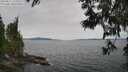 ./images/koeye/fitz-hugh/20250612/fitz-hugh20250612_125511M.jpg