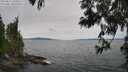 ./images/koeye/fitz-hugh/20250612/fitz-hugh20250612_130012M.jpg