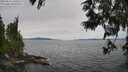 ./images/koeye/fitz-hugh/20250612/fitz-hugh20250612_130510M.jpg