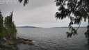 ./images/koeye/fitz-hugh/20250612/fitz-hugh20250612_131511M.jpg