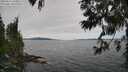 ./images/koeye/fitz-hugh/20250612/fitz-hugh20250612_134010M.jpg