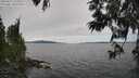 ./images/koeye/fitz-hugh/20250612/fitz-hugh20250612_134511M.jpg