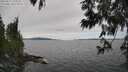 ./images/koeye/fitz-hugh/20250612/fitz-hugh20250612_135009M.jpg