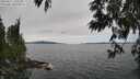 ./images/koeye/fitz-hugh/20250612/fitz-hugh20250612_135509M.jpg