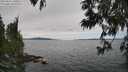 ./images/koeye/fitz-hugh/20250612/fitz-hugh20250612_140010M.jpg