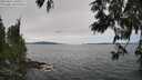 ./images/koeye/fitz-hugh/20250612/fitz-hugh20250612_140510M.jpg