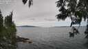./images/koeye/fitz-hugh/20250612/fitz-hugh20250612_141009M.jpg
