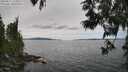 ./images/koeye/fitz-hugh/20250612/fitz-hugh20250612_142011M.jpg