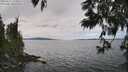 ./images/koeye/fitz-hugh/20250612/fitz-hugh20250612_143510M.jpg