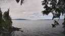 ./images/koeye/fitz-hugh/20250612/fitz-hugh20250612_145009M.jpg