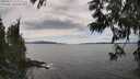 ./images/koeye/fitz-hugh/20250612/fitz-hugh20250612_152510M.jpg