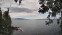 ./images/koeye/fitz-hugh/20250612/fitz-hugh20250612_153010M.jpg