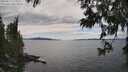 ./images/koeye/fitz-hugh/20250612/fitz-hugh20250612_153510M.jpg