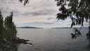 ./images/koeye/fitz-hugh/20250612/fitz-hugh20250612_154011M.jpg