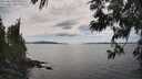 ./images/koeye/fitz-hugh/20250612/fitz-hugh20250612_155010M.jpg