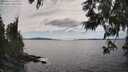 ./images/koeye/fitz-hugh/20250612/fitz-hugh20250612_160012M.jpg