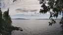 ./images/koeye/fitz-hugh/20250612/fitz-hugh20250612_161011M.jpg