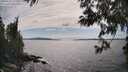 ./images/koeye/fitz-hugh/20250612/fitz-hugh20250612_162011M.jpg