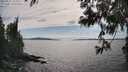 ./images/koeye/fitz-hugh/20250612/fitz-hugh20250612_163010M.jpg