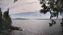 ./images/koeye/fitz-hugh/20250612/fitz-hugh20250612_163510M.jpg
