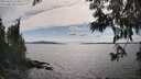 ./images/koeye/fitz-hugh/20250612/fitz-hugh20250612_164011M.jpg