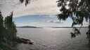 ./images/koeye/fitz-hugh/20250612/fitz-hugh20250612_165010M.jpg