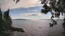 ./images/koeye/fitz-hugh/20250612/fitz-hugh20250612_171010M.jpg