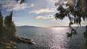 ./images/koeye/fitz-hugh/20250612/fitz-hugh20250612_173507M.jpg