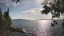 ./images/koeye/fitz-hugh/20250612/fitz-hugh20250612_174010M.jpg