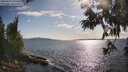 ./images/koeye/fitz-hugh/20250612/fitz-hugh20250612_175008M.jpg